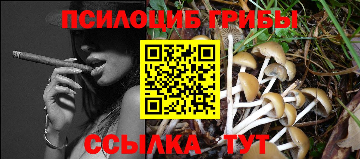Галлюциногенные грибы GOLDEN TEACHER Менделеевск